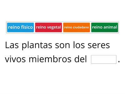 Las plantas 