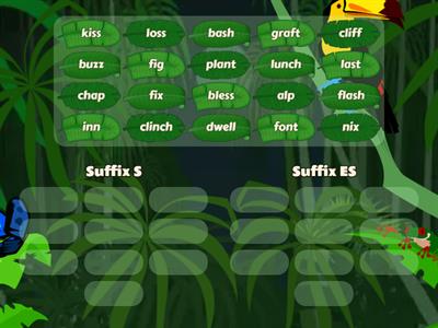 SUffixes S and ES 
