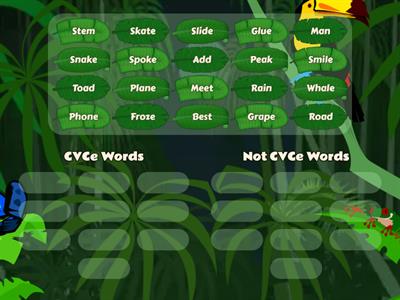 CVCe Words vs. Non-CVCe Words