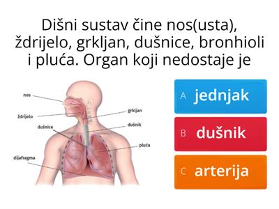 Organi za disanje i glas