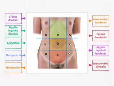 Cuadrantes abdominales