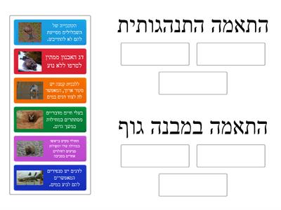 התאמה במבנה גוף או בהתנהגות