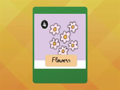 K Plant life cycle Flashcards (Unit 3-P4)