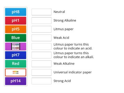 Y5 Indicators