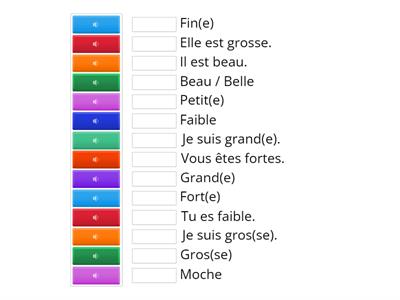 CE2/CM1 - Les adjectifs en anglais à l'oral