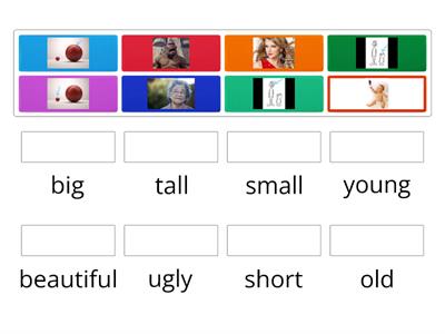 Adjectives: small, big, young