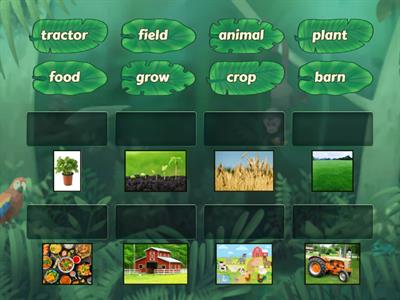 All About Farms: Vocabulary Match Up