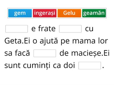 Completare text lacunar-grupul ge