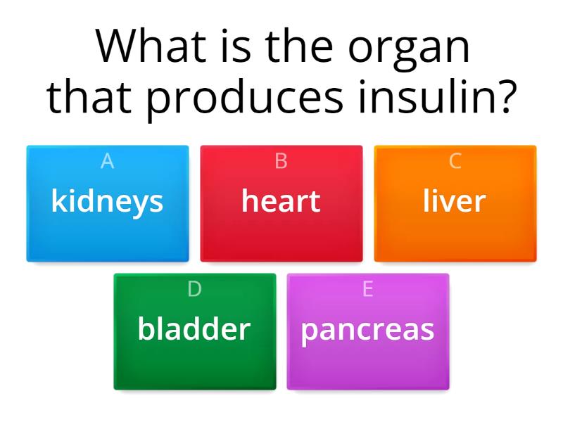 homeostasis - Quiz