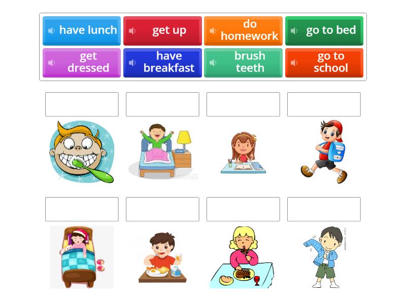 Daily routines - Match up