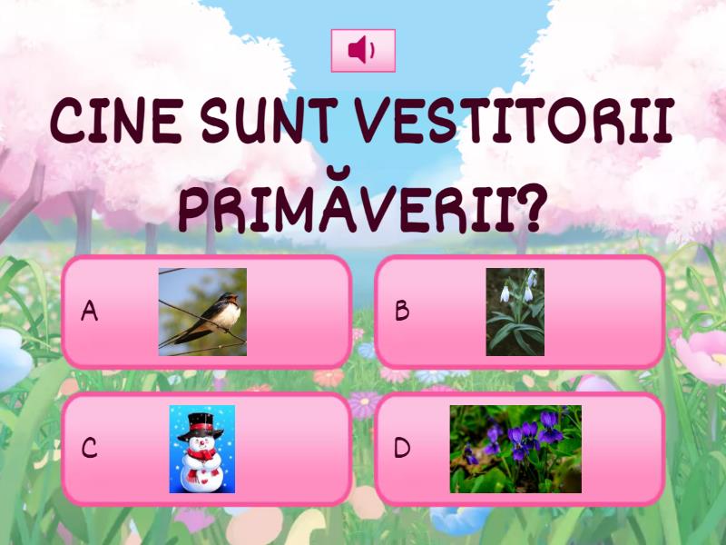 Vestitorii Primăverii Chestionar