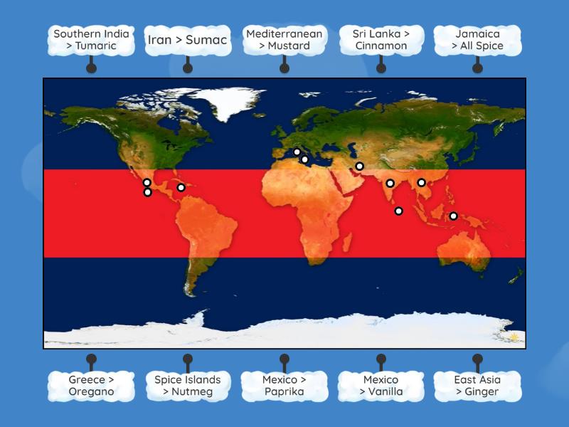 Where do spices come from? - Labelled diagram