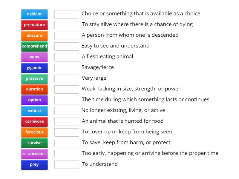 Vocabulary Lesson 3 - Match up