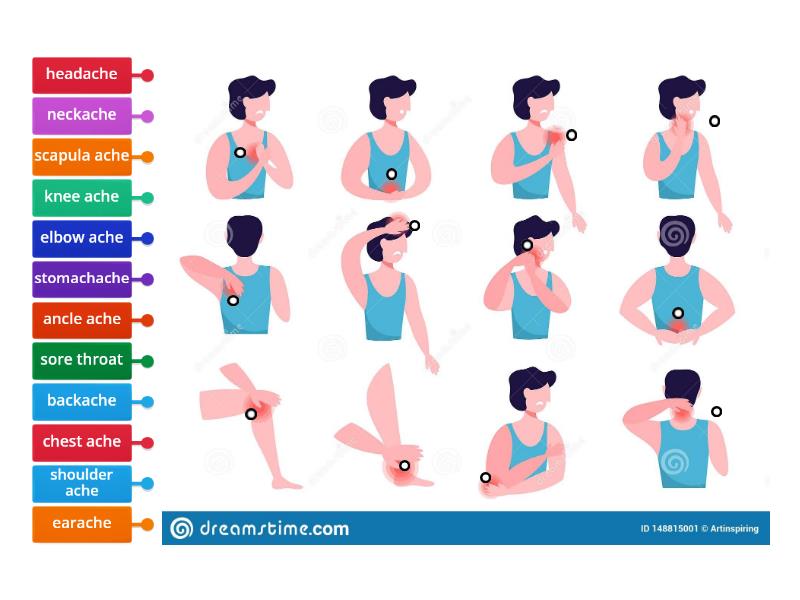 Parts of the body. Ache. - Labelled diagram