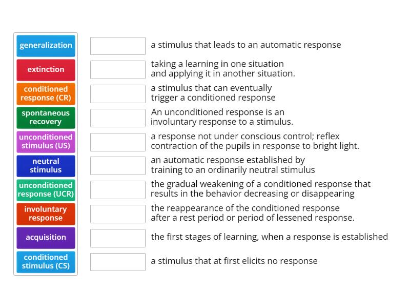 Standard 4.1 Conditioning vocabulary - Match up