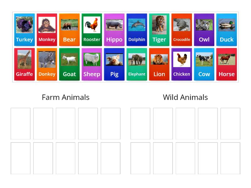 Farm vs Wild Animals - Group sort