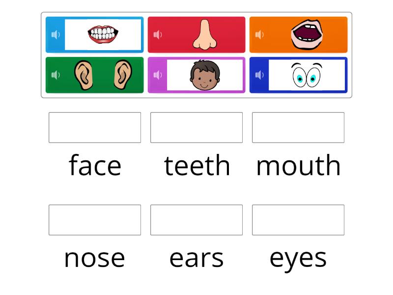 Duy - Body parts - Match up