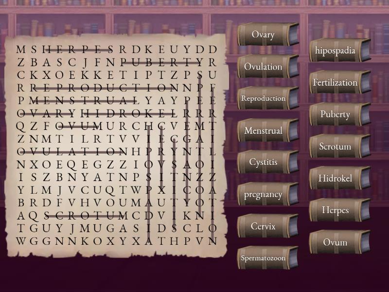 Human Reproduction system - Wordsearch