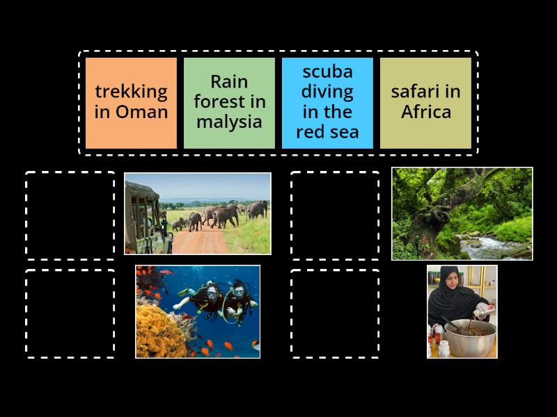 Sg 2 Unit 12 Match Up