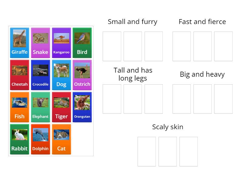 Find the animals' groups! - Group sort