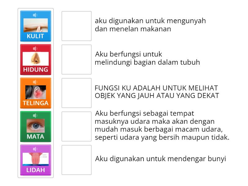 PANCA INDRA MANUSIA - Match up