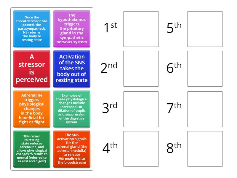 Stages of the Fight or Flight response - Rank order