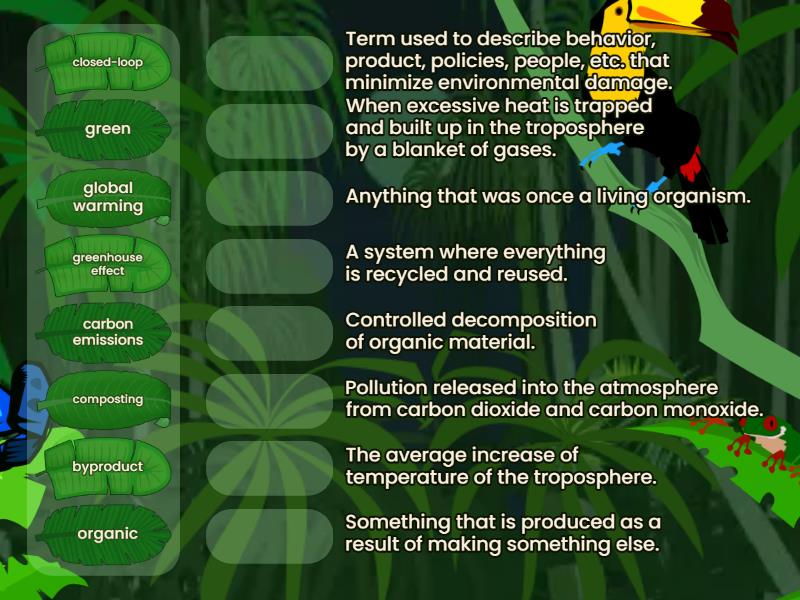 Sustainability Vocabulary Match up