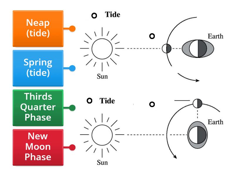 Ocean Tides and Moon Phases - Labelled diagram