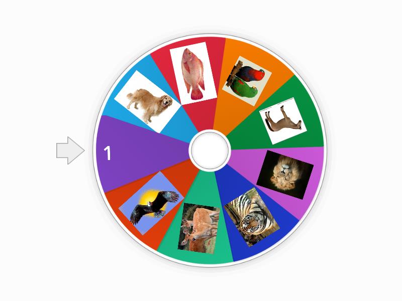 วงล้อสุ่มรูปภาพ - Spin the wheel