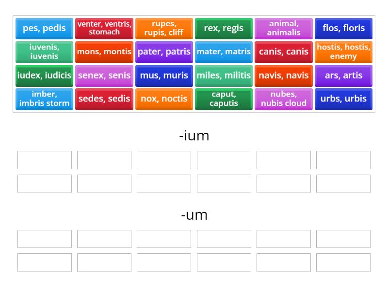 latin-3rd-decl-nouns-ending-in-ium-or-um-group-sort