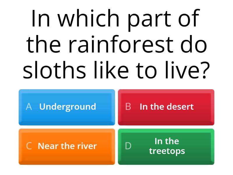 George's Fun Sloth ! - Quiz