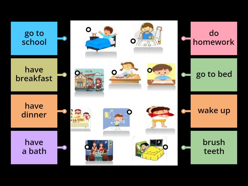 Routine - Labelled diagram