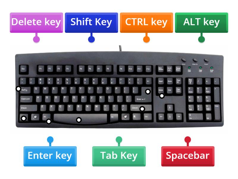Computer Keyboard QWERTY Labelled diagram