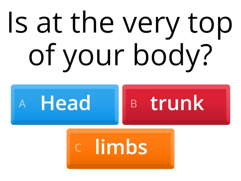 Body Parts And Their Functions Quiz