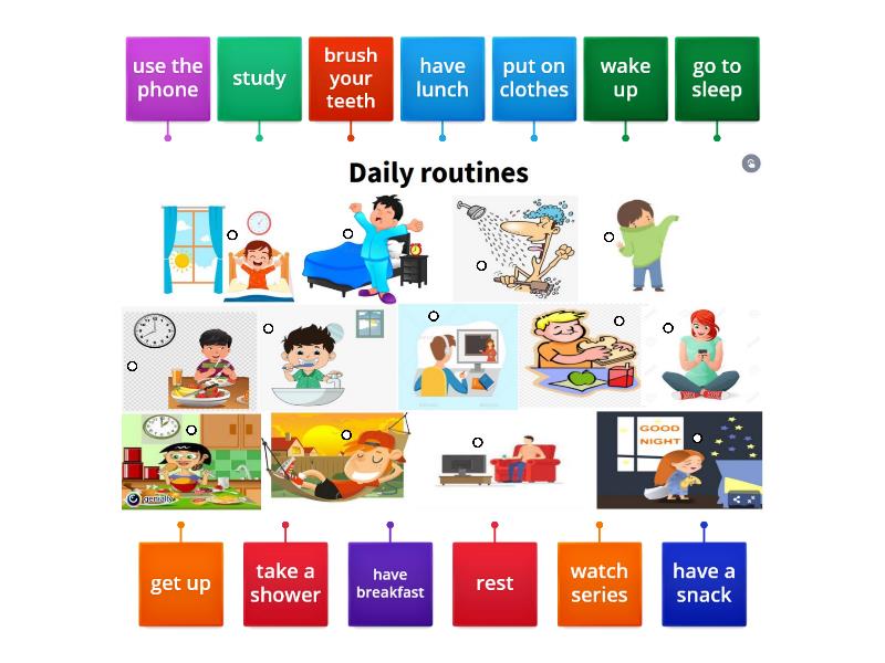 Daily routines vocabulary - Labelled diagram