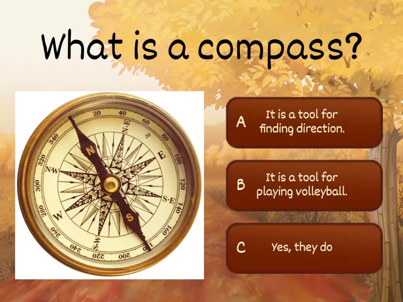 The compass - Cuestionario