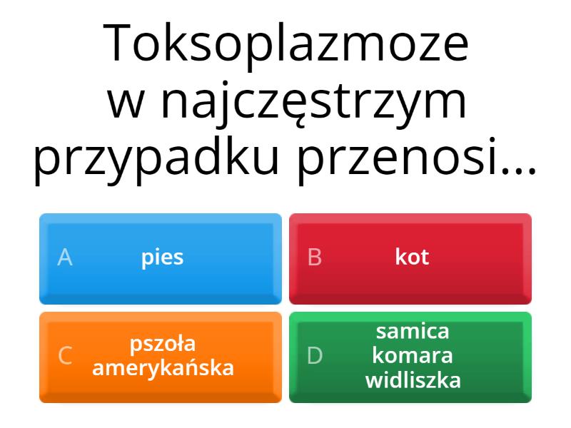 Bakterie Wirusy Protisty Grzyby Sprawdzian Protisty grzyby bakterie i wirusy - Quiz
