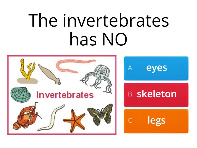 "Invertebrates" - Cuestionario