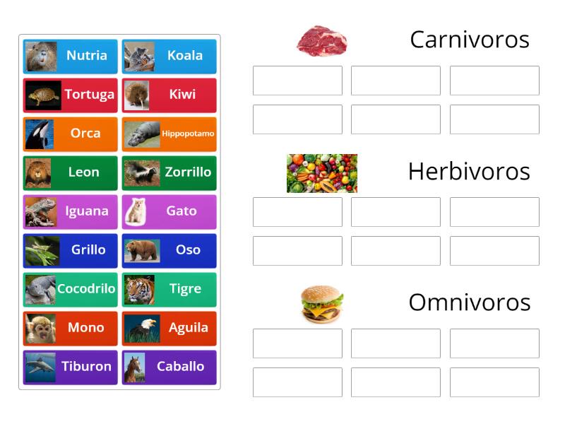 Carnivoros, herbivoros, omnivoros - Group sort