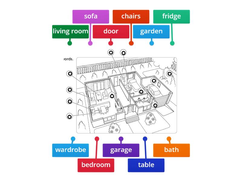 Module 1 vocabulary