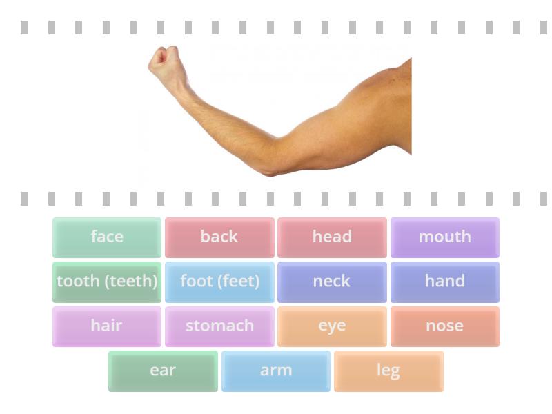 Speakout A1 7C - Cada oveja con su pareja