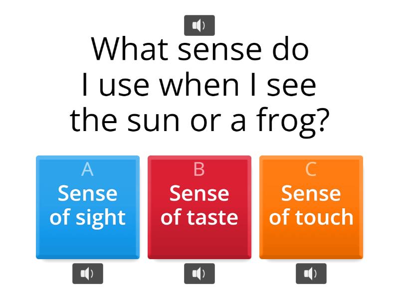 5 Senses - Reading Comprehension - Quiz