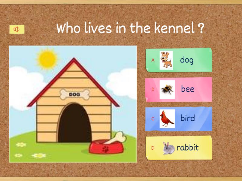 Animal homes Quiz