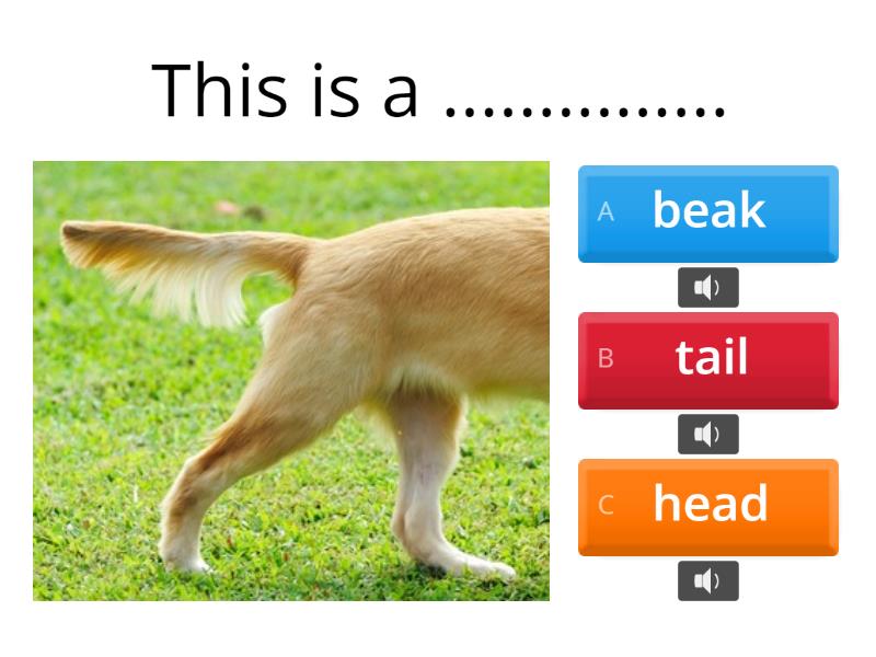 Unit 3 - Different Tails - Quiz