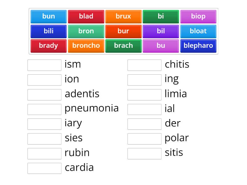 Spelling List 3 (B Words) - Match Up