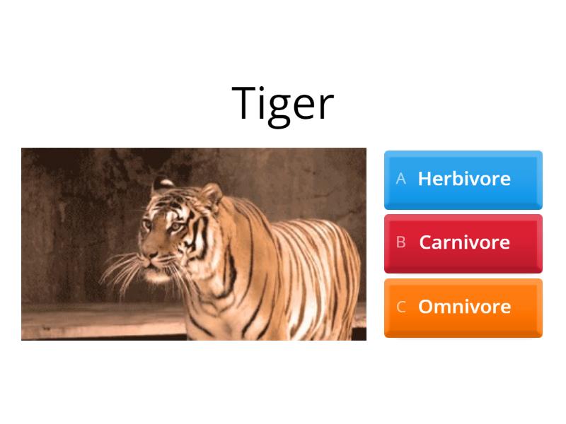 Carnivores Herbivores And Omnivores - Quiz