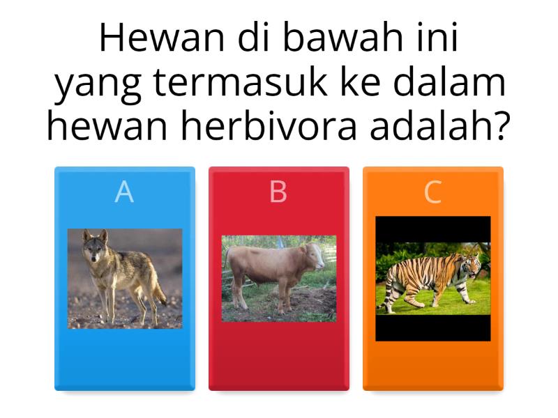 Materi Hewan Berdasarkan Jenis Makanannya - Quiz