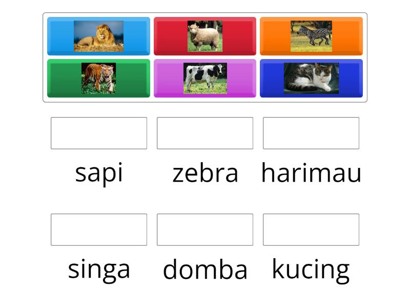 Mengenal hewan berkaki empat - Match up