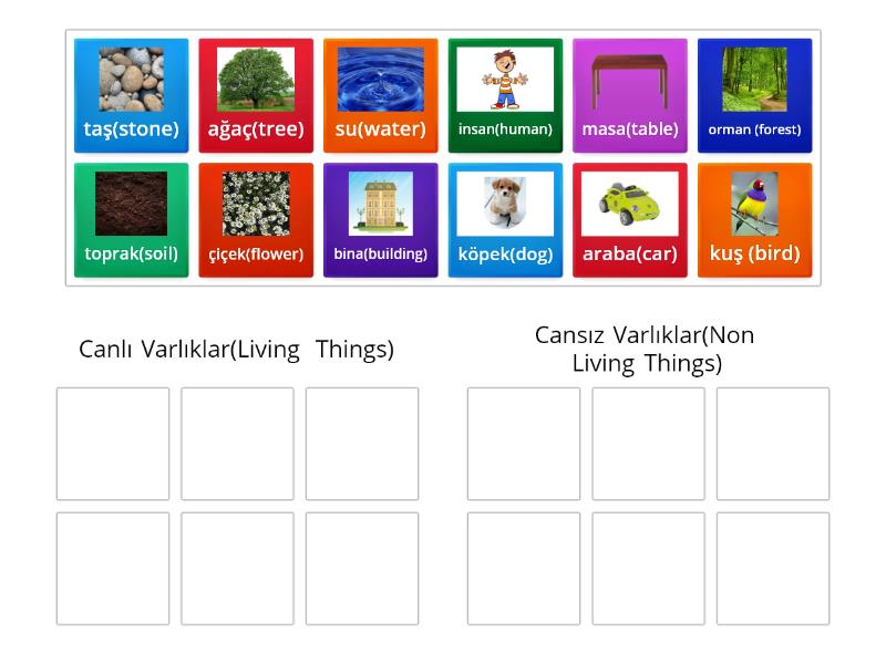 CANLI VE CANSIZ VARLIKLAR (LIVING AND NON LIVING THINGS) - Group sort