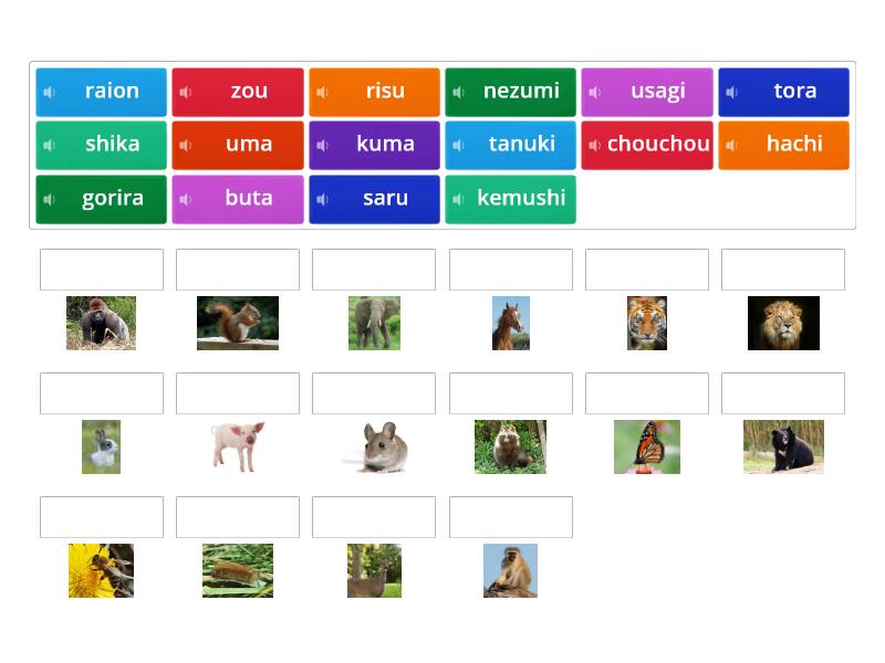 animals-names-in-japanese-match-up